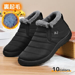 y24 Ԍ  20%OFFzXm[V[Y fB[X N h_Eu[c hu[c [V[Y ~C h ۉ V[gu[c JWAu[c AEghAC ZC ~ 