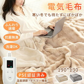 【SS延長24H★15%OFF】電気毛布 敷き 膝掛け 掛け敷き兼用 ふわとろ電気毛布 洗える 190×130cm 5段階温度調節 PSE認証済み 両用 自動電源オフ ダニ退治 過熱保護 タイマー機能付 電気ブランケット ひざ掛け 節電 省エネ 節電対策