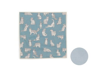 KlNX oeBvg gp 20×20cm Kl@  ԕ L ߂ː@ NX 킢 N[jONX ዾ@ v[g Mtg v[g 蕨 ̓ hV