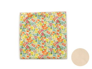 KlNX oeBvg gp 20×20cm Kl@  ԕ L ߂ː@ NX 킢 N[jONX ዾ@ v[g Mtg v[g 蕨 ̓ hV