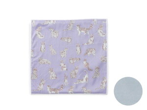 KlNX oeBvg gp 20×20cm Kl@  ԕ L ߂ː@ NX 킢 N[jONX ዾ@ v[g Mtg v[g 蕨 ̓ hV