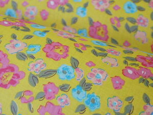 Ch vg 100% n 110cm yWbz 30cmȏ10cmPʂōw y10cm 220~z y30cm 660~z yԕiEsz