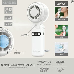 �q���E�R�[�|���[�V���� X.BREEZEE ��p�v���[�g�t���~�X�g�t�@��1 3600mAh 100�i�K���� �J���r�i HDL-3595