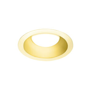 �y�G���g���[��P5�{�zYAZAWA LED�_�E�����C�g 8W�d���F ��������125 DLL08125L01WH