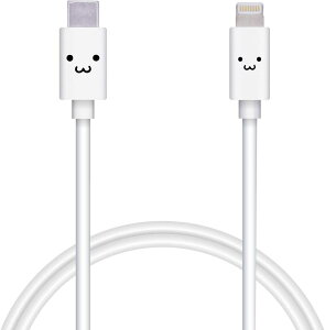 GR TypeC to Lightning P[u iPhone [dP[u APPLEFؕi 1.0m zCgtFCX MPA-FCL10WF