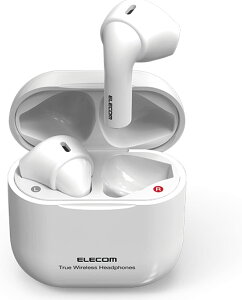 GR CXCz SCX Bluetooth5.0Ή/AACΉ/ʘbΉ LBT-TWS11WH