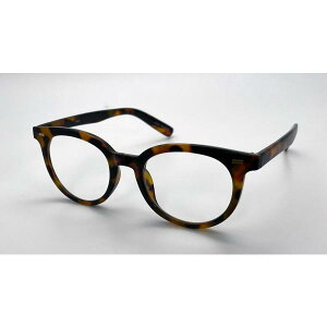 �G�N�V�[�� �V�j�A�O���X +2.5 XSCENE PREMIUM READER HOYA�����Y XS�v���~�A��HO10+2.5