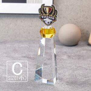 v~A AN gtB[ ART-2C()  LOi \ ސELO NLO nLO StRy z[C X|[c Cxg D gtB v[g Mtg 