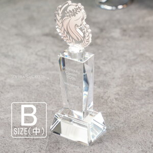 v~A AN gtB[ ART-3B()  LOi \ ސELO NLO nLO StRy z[C X|[c Cxg D gtB v[g Mtg 