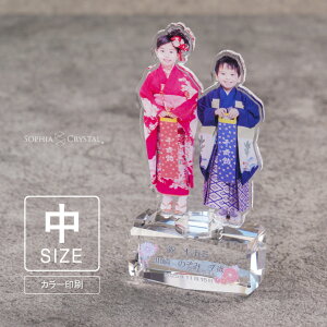 v~A AN A SAR-1B()  ANX^h ʐ^ J[ ʈ tHg LOi ސELO NLO St z[C X|[c v[g Mtg ANX^