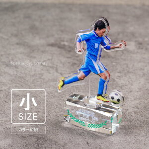 v~A AN A SAR-1C()  ANX^h ʐ^ J[ ʈ tHg LOi ސELO NLO St z[C X|[c v[g Mtg ANX^