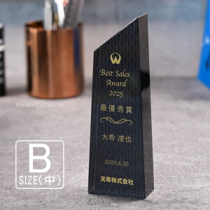 ブラックビューティー トロフィー CR-23B-bb(中) クリスタル 名入れ 記念品 表彰状 退職記念 周年記念 創立記念 ゴルフコンペ ホールインワン スポーツ大会 イベント 優勝 トロフィ プレゼント