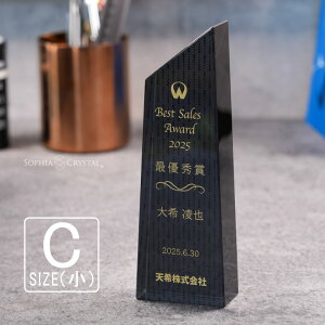 ブラックビューティー トロフィー CR-23C-bb(小) クリスタル 名入れ 記念品 表彰状 退職記念 周年記念 創立記念 ゴルフコンペ ホールインワン スポーツ大会 イベント 優勝 トロフィ プレゼント