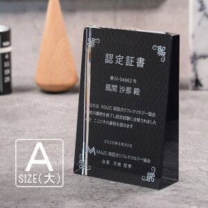 ブラックビューティー 表彰盾 DP-17A-bb(大) クリスタル 黒 表彰楯 名入れ 記念品 表彰状 盾 卒業 感謝 退職記念 周年記念 創立記念 ゴルフコンペ ホールインワン スポーツ大会 イベント 優勝 ト