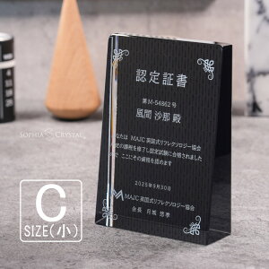 ブラックビューティー 表彰盾 DP-17C-bb(小) クリスタル 黒 表彰楯 名入れ 記念品 表彰状 盾 卒業 感謝 退職記念 周年記念 創立記念 ゴルフコンペ ホールインワン スポーツ大会 イベント 優勝 ト