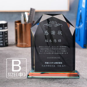 ブラックビューティー 表彰盾 DP-5B-bb(中) クリスタル 黒 表彰楯 名入れ 記念品 表彰状 盾 卒業 感謝 退職記念 周年記念 創立記念 ゴルフコンペ ホールインワン スポーツ大会 イベント 優勝 ト