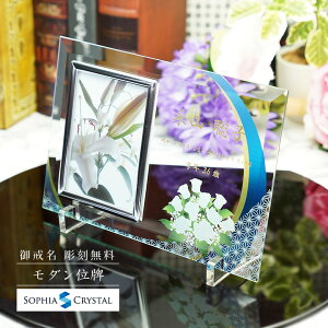 AtHgt[ FH-5-uvs KX ʐ^ J[ ʔv  d vw A  { 49 @v @  ʔv 茳{ ԗ v    F  