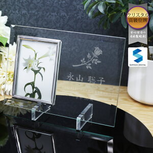 AtHgt[ FH-5 KX ʐ^ ʔv  d vw A  { 49 @v @  ʔv 茳{ ԗ v  l   F    