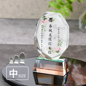  ʔv 嗝 _ NX^ KH-11B-onk-d() ꖳ J[ ʔv  d vw A  { 49 @v @  茳{ 㕧d ~jd ^ ԗ v  l 