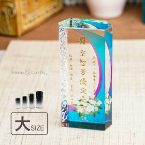 ʔv _ NX^ KH-12A-uvs() ꖳ J[ ʔv  d vw A  { 49 @v @  ʔv 茳{ 㕧d ~jd ^ ԗ v  l 