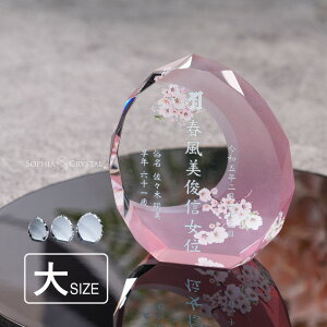  ʔv Ȃ _ NX^ KH-21A-onk-n() ꖳ J[ ʔv  d vw A  { 49 @v @  茳{ 㕧d ~jd ^ ԗ v  l 