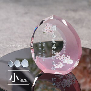  ʔv Ȃ _ NX^ KH-21C-onk-n() ꖳ J[ ʔv  d vw A  { 49 @v @  茳{ 㕧d ~jd ^ ԗ v  l 