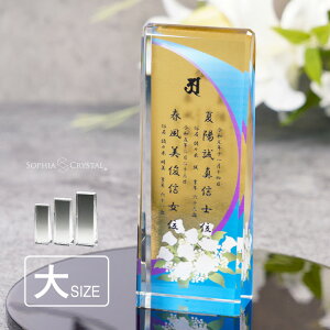 ʔv NX^ dl KH-26A-uvs() _ J[ ʔv  d vw A  { 49 @v @  ʔv 茳{  ~j d ^ ԗ v  l 