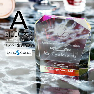 NX^ gtB[ CR-14A()  LOi \ ސELO NLO nLO StRy z[C X|[c Cxg D gtB v[g Mtg 