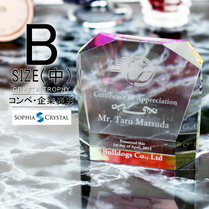 NX^ gtB[ CR-14B()  LOi \ ސELO NLO nLO StRy z[C X|[c Cxg D gtB v[g Mtg 