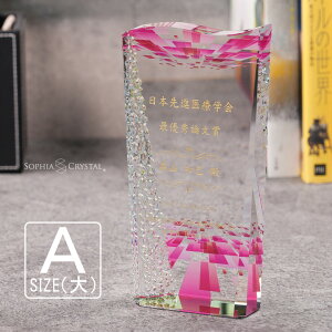 NX^ gtB[ CR-17A()  LOi \ ސELO NLO nLO StRy z[C X|[c Cxg D gtB v[g Mtg 