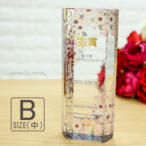 トロフィー クリスタルトロフィー CR-20B(中) 名入れ オリジナル 記念品 表彰状 退職記念 周年記念 創立記念 ゴルフコンペ ホールインワン スポーツ大会 イベント 優勝 トロフィ プレゼント ギ