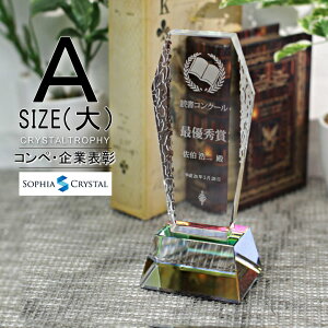 NX^ gtB[ CR-22A()  LOi \ ސELO NLO nLO StRy z[C X|[c Cxg D gtB v[g Mtg 