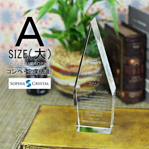 クリスタル トロフィー CR-25A(大) 名入れ 記念品 表彰状 退職記念 周年記念 創立記念 ゴルフコンペ ホールインワン スポーツ大会 イベント 優勝 トロフィ プレゼント ギフト おしゃれ