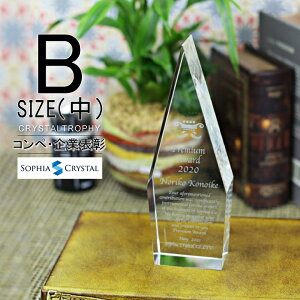 クリスタル トロフィー CR-25B(中) 名入れ 記念品 表彰状 退職記念 周年記念 創立記念 ゴルフコンペ ホールインワン スポーツ大会 イベント 優勝 トロフィ プレゼント ギフト おしゃれ