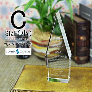 クリスタル トロフィー CR-25C(小) 名入れ 記念品 表彰状 退職記念 周年記念 創立記念 ゴルフコンペ ホールインワン スポーツ大会 イベント 優勝 トロフィ プレゼント ギフト おしゃれ