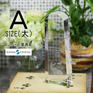 NX^ gtB[ CR-26A()  LOi \ ސELO NLO nLO StRy z[C X|[c Cxg D gtB v[g Mtg 