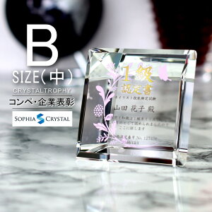 NX^ gtB[ CR-27B()  LOi \ ސELO NLO nLO StRy z[C X|[c Cxg D gtB v[g Mtg 