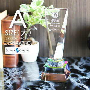クリスタル トロフィー CR-28A(大) 名入れ 記念品 表彰状 退職記念 周年記念 創立記念 ゴルフコンペ ホールインワン スポーツ大会 イベント 優勝 トロフィ プレゼント ギフト おしゃれ