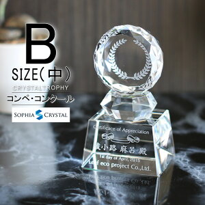 NX^ gtB[ CR-31B()  LOi \ ސELO NLO nLO StRy z[C X|[c Cxg D gtB v[g Mtg 