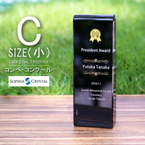 トロフィー クリスタル CR-33C(小) 名入れ 記念品 表彰状 退職記念 周年記念 創立記念 ゴルフコンペ ホールインワン スポーツ大会 eスポーツ イベント 優勝 トロフィ プレゼント ギフト おしゃ