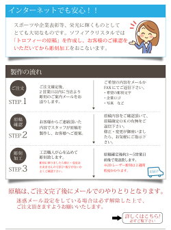 【名入れ無料記念品】DSP-2名入れ表彰楯退職祝い表彰状表彰盾感謝クリスタルクリスタルトロフィープレゼントトロフィ周年記念ギフト【楽ギフ_名入れ】【名入れ記念品】