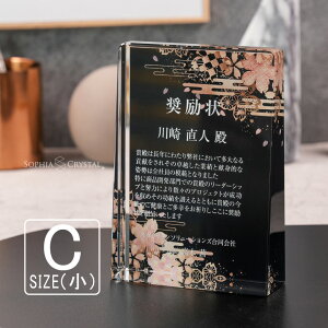 gtB[ NX^  DP-17C()  LOi \ \  \|   ސELO NLO nLO StRy z[C X|[c Cxg D gtB v[