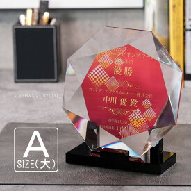 トロフィー クリスタル 盾 DP-19A(大) 名入れ 記念品 表彰状 表彰 盾 表彰楯 卒業 感謝 退職記念 周年記念 創立記念 ゴルフコンペ ホールインワン スポーツ大会 イベント 優勝 トロフィ プレゼント ギフト