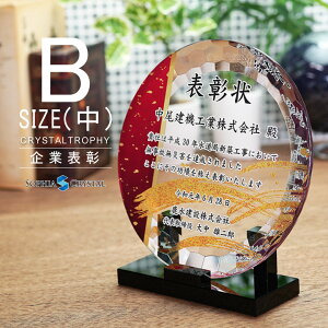 gtB[ NX^  DP-20B()  LOi \ \  \|   ސELO NLO nLO StRy z[C X|[c Cxg D gtB v[