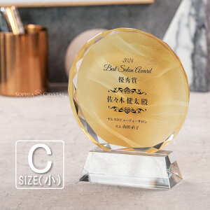 トロフィー クリスタル 盾 DP-3C(小) 名入れ 記念品 表彰状 表彰 盾 表彰楯 卒業 感謝 退職記念 周年記念 創立記念 ゴルフコンペ ホールインワン スポーツ大会 イベント 優勝 トロフィ プレゼン