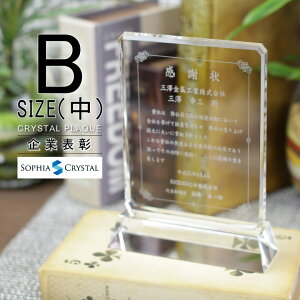 トロフィー クリスタル 盾 DP-4B(中) 名入れ 記念品 表彰状 表彰 盾 表彰楯 卒業 感謝 退職記念 周年記念 創立記念 ゴルフコンペ ホールインワン スポーツ大会 イベント 優勝 トロフィ プレゼン