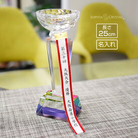 名入れペナント 25cm 優勝トロフィー 優勝カップ クリスタル トロフィー 名入れ無料 印刷 プリント 表彰 記念品 プレゼント トロフィ 周年記念 ギフト