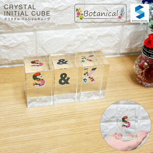 NX^ CjVL[u CB558-ic-g j JXj Vzj NLO ސEj IWi Mtg v[g j At@xbg   IuWF CeA y[p