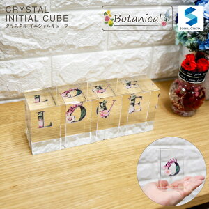 NX^ CjVL[u CB558-ic-i j JXj Vzj NLO ސEj IWi Mtg v[g j At@xbg   IuWF CeA y[p