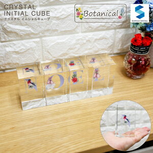 NX^ CjVL[u CB558-ic-j j JXj Vzj NLO IWi Mtg v[g j At@xbg   IuWF CeA y[p[EFC